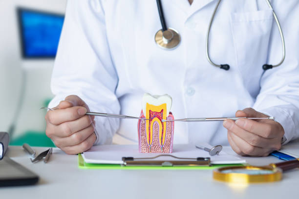Best Weekend Emergency Dental Services in Sanford, ME